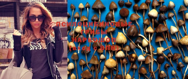 кокс Новодвинск